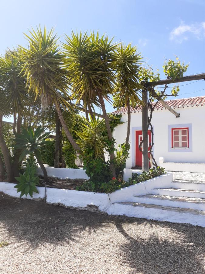 Вілла Monte Da Casa Branca By Hi Alentejo Sao Bartolomeu da Serra Екстер'єр фото